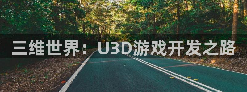 巅峰国际官网：三维世界：U3D游戏开发之路