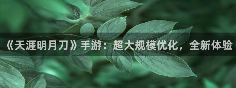 巅峰国际平台：《天涯明月刀》手游：超大规模优化，全新体验