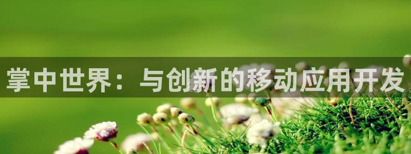 巅峰国际首页：掌中世界：与创新的移动应用开发