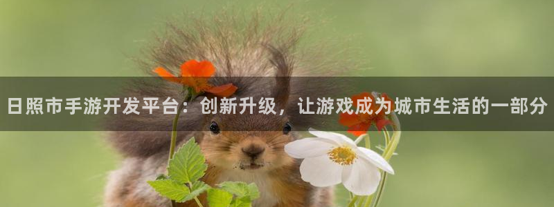 巅峰国际：日照市手游开发平台：创新升级，让游戏成为城市生活的