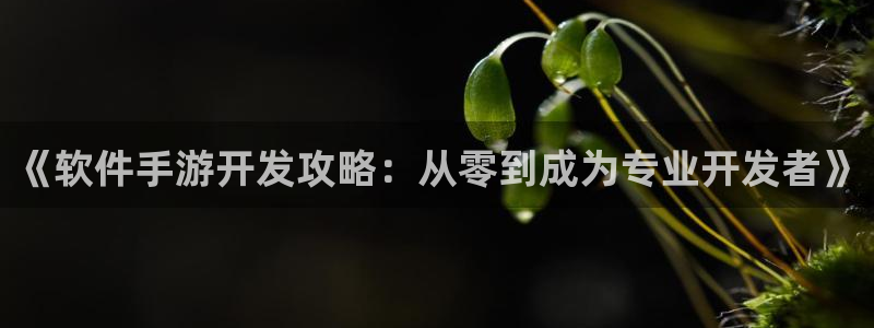 巅峰国际下载：《软件手游开发攻略：从零到成为专业开发者》