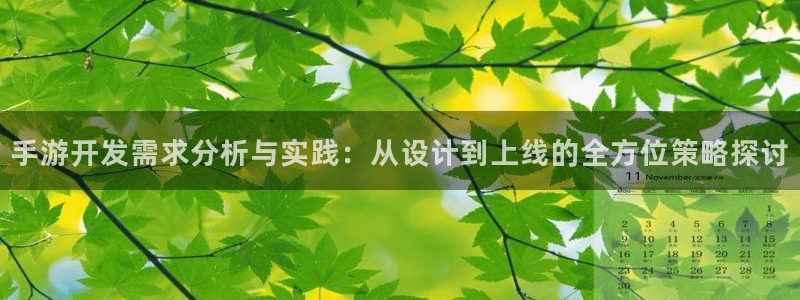 巅峰国际：手游开发需求分析与实践：从设计到上线的全方位策略探