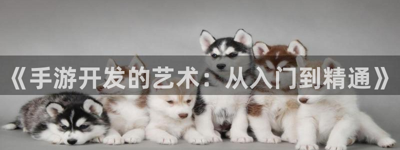 巅峰国际下载：《手游开发的艺术：从入门到精通》