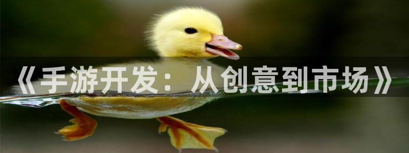 巅峰国际：《手游开发：从创意到市场》