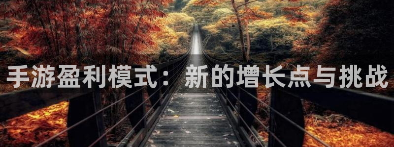 巅峰国际注册：手游盈利模式：新的增长点与挑战