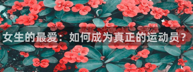 678体育app