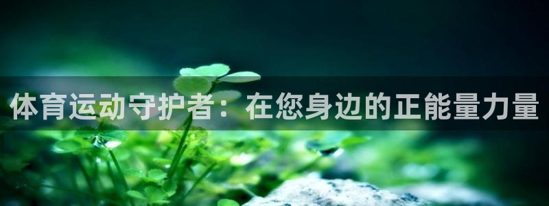 678体育官网