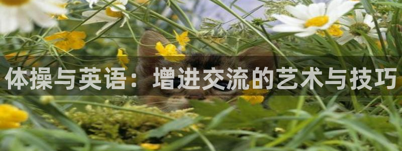 678体育知识