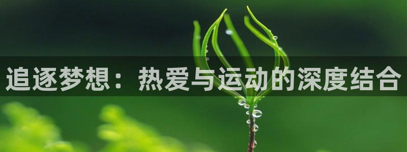 皇冠678体育