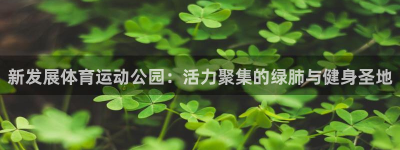 678体育官网下载