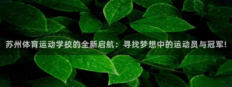 678体育官网