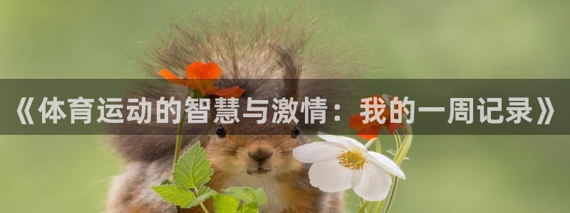 678体育官网地址